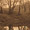 thumbnail for nature_art_4