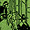 thumbnail for pageant_brochure