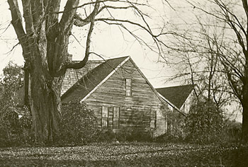 The Little Brown House 